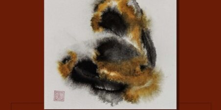 castex aprile 2022 bold